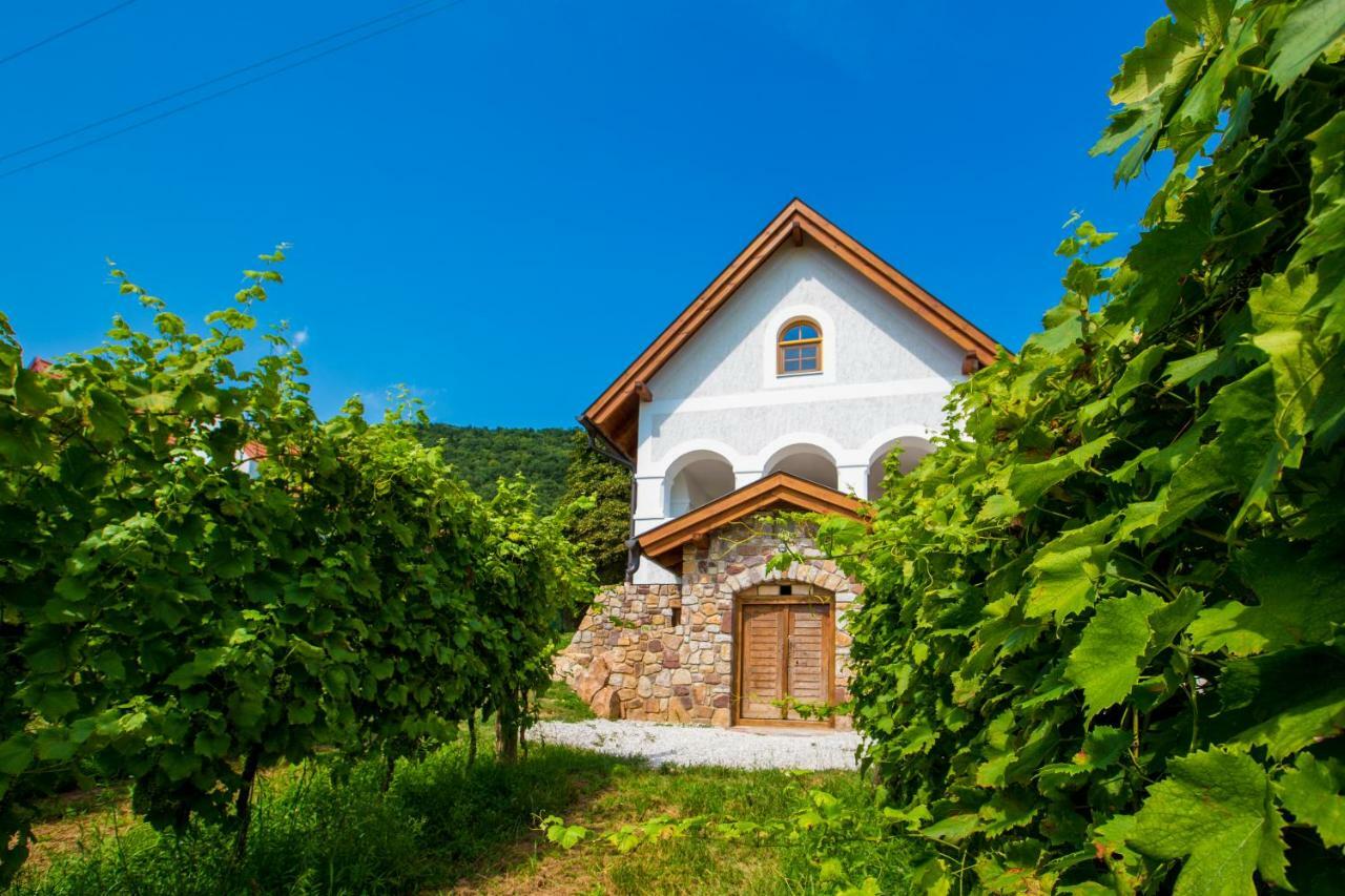 Apartamento Csendes Dűlő Szőlőbirtok Vendégház Badacsonytomaj Exterior foto