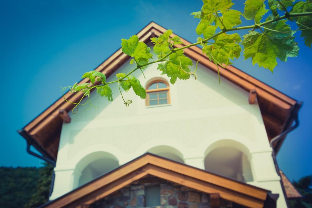 Apartamento Csendes Dűlő Szőlőbirtok Vendégház Badacsonytomaj Exterior foto